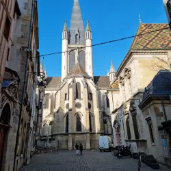 Church of Notre-Dame of Dijon - Dijon