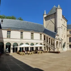Musée des Beaux-Arts de Dijon - Dijon
