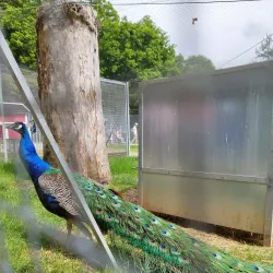 Parc de la Colombière - Dijon
