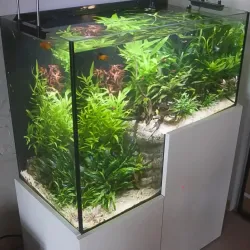 Aquarium d'Épinal - Epinal