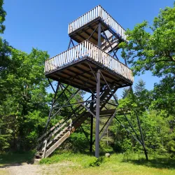 La Tête des Cuves - Epinal