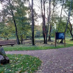 Moselle River Promenade - Epinal