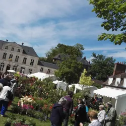 Château d'Évreux (Evreux Castle) - Evreux