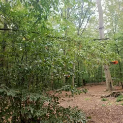 Château d'Évreux (Evreux Castle) - Evreux