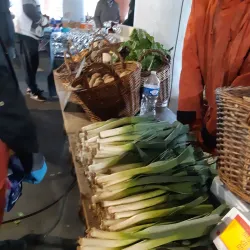 Evreux Market - Evreux