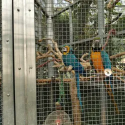 Jardin Botanique de l'Évêché - Evreux