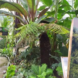 Jardin Botanique de l'Évêché - Evreux