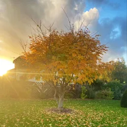 Parc François Mitterrand - Evreux