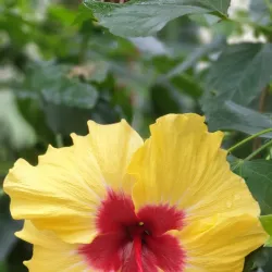 Parc François Mitterrand - Evreux