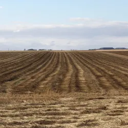 The Old Town (Vieux Évreux) - Evreux