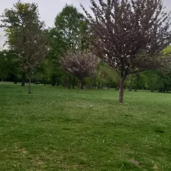 Parc des Coquibus - Evry