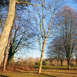 Parc des Loges - Evry