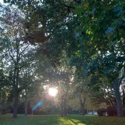 Parc des Loges - Evry