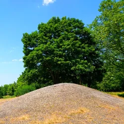 Parc des Loges - Evry