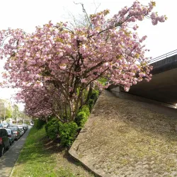 Parc des Loges - Evry