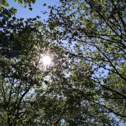 Parc des Loges - Evry