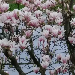 Parc du Lac de l'Essonne - Evry