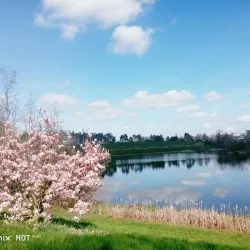 Parc du Lac de l'Essonne - Evry
