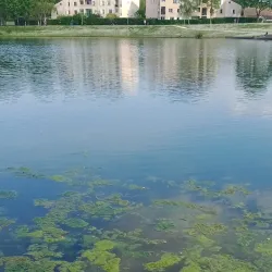Parc du Lac de l'Essonne - Evry