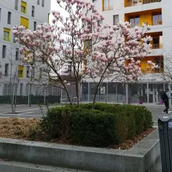 Université d'Évry Val d'Essonne - Evry