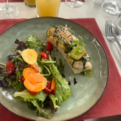 Château de Fayence - Fayence