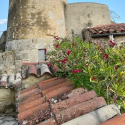 Fayence Village Center - Fayence