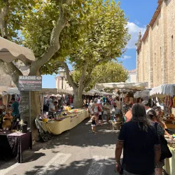 Église Saint-Jean-Baptiste - Fayence