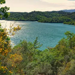 Nearby Lac de Saint-Cassien - Fayence