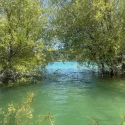 Nearby Lac de Saint-Cassien - Fayence