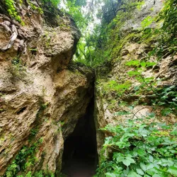 Sentier des Vignes (Vineyard Trail) - Fayence
