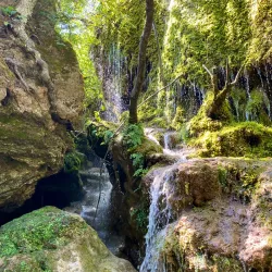 Sentier des Vignes (Vineyard Trail) - Fayence