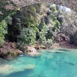 Sentier des Vignes (Vineyard Trail) - Fayence
