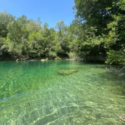 Sentier des Vignes (Vineyard Trail) - Fayence