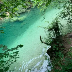 Sentier des Vignes (Vineyard Trail) - Fayence