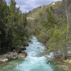 Sentier des Vignes (Vineyard Trail) - Fayence
