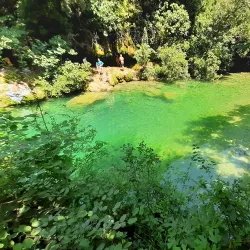 Sentier des Vignes (Vineyard Trail) - Fayence