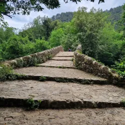 Sentier des Vignes (Vineyard Trail) - Fayence