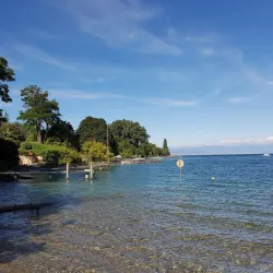 Geneva Lake (Lac Léman) - Ferney-Voltaire