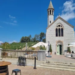 Local Wine Tasting Experiences - Ferney-Voltaire