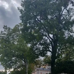 Voltaire Statue - Ferney-Voltaire