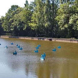 Château de Flers - Flers