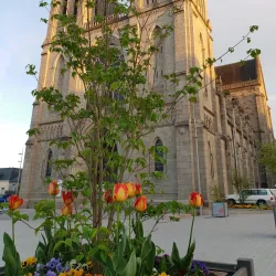 Église Saint-Germain - Flers