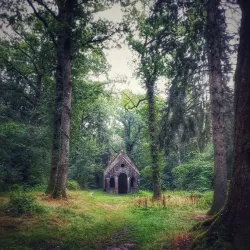 La Forêt d'Andaine - Flers