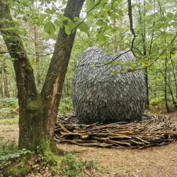 La Forêt d'Andaine - Flers