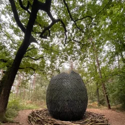 La Forêt d'Andaine - Flers