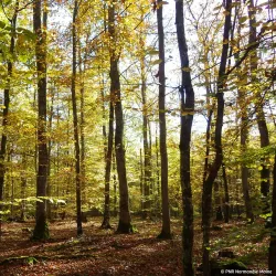 La Maison du Parc Normandie-Maine - Flers