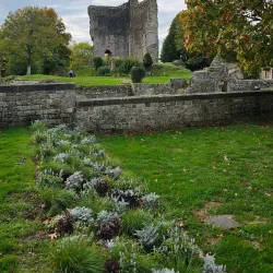 La Maison du Parc Normandie-Maine - Flers