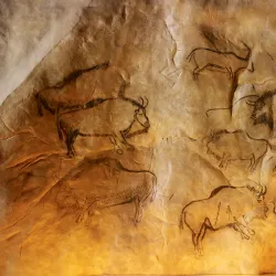 Grotte de Niaux - Foix