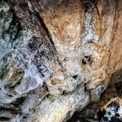 Grotte de Niaux - Foix