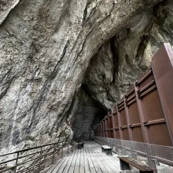 Grotte de Niaux - Foix